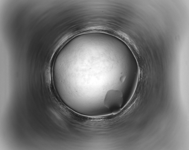 X0000096441274200801241351