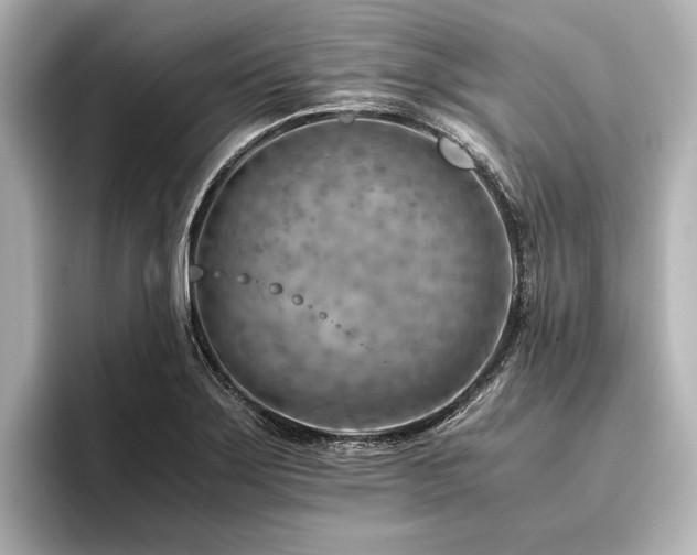 X0000096441275200801241351