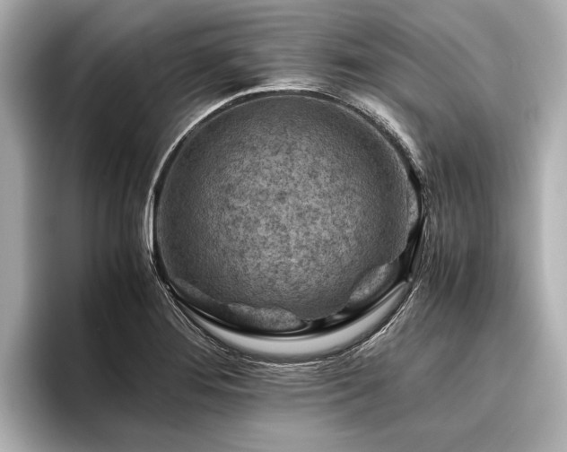 X0000096441276200801241351