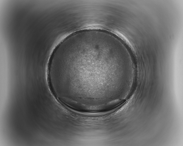 X0000096441277200801241351