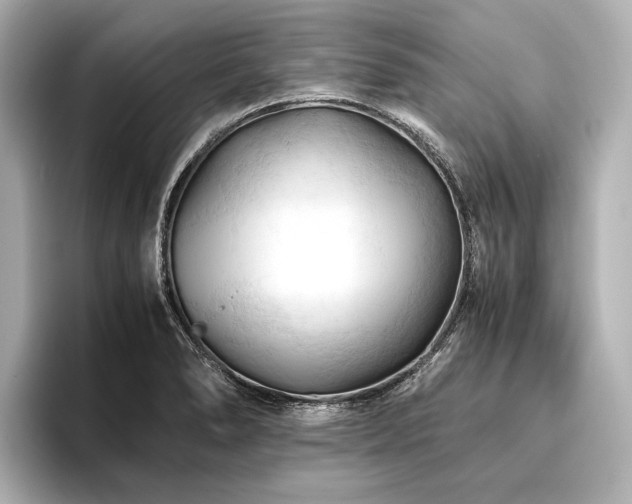 X0000096441278200801241351