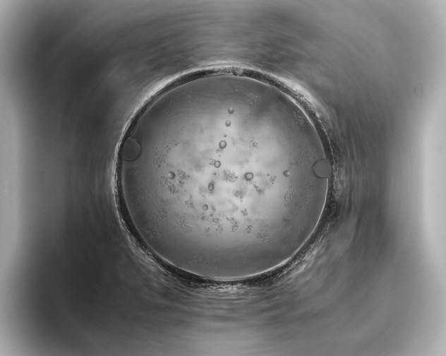X0000096441279200801241351