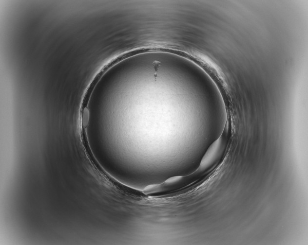 X0000096441280200801241351