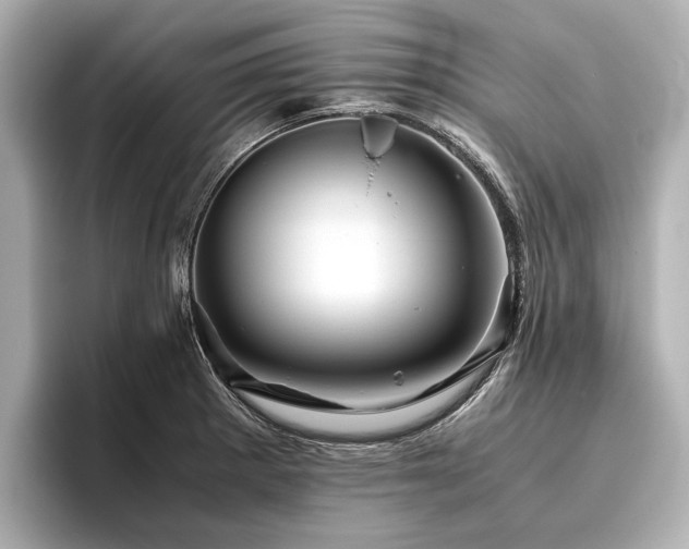 X0000096441281200801241351
