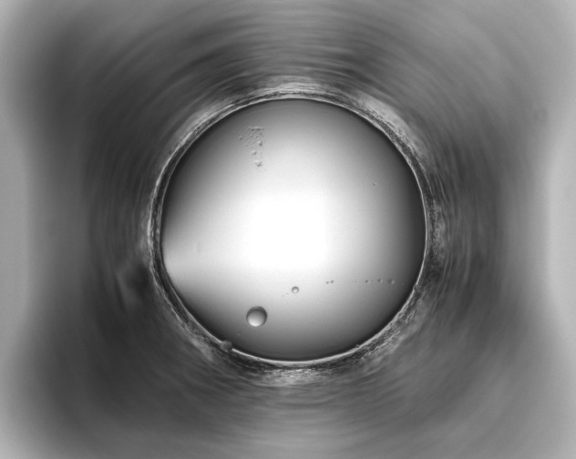 X0000096441282200801241351