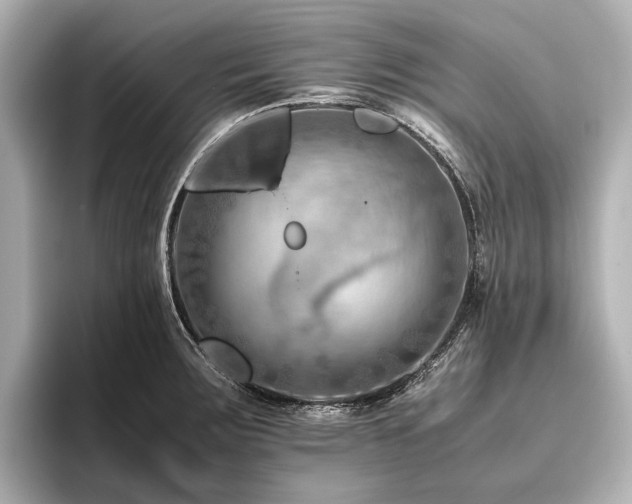 X0000096441283200801241351
