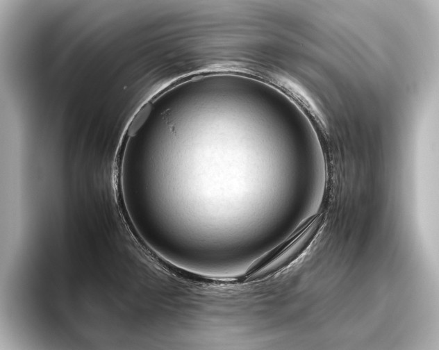 X0000096441284200801241351
