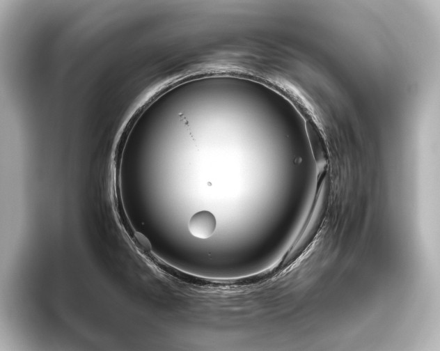 X0000096441286200801241351