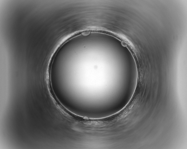 X0000096441287200801241351
