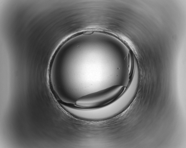 X0000096441288200801241351