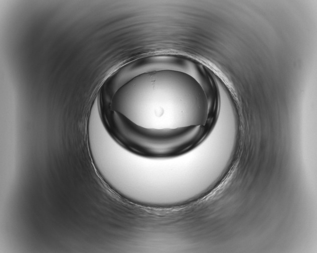 X0000096441289200801241351