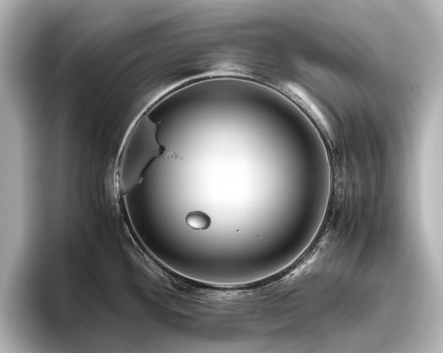 X0000096441292200801241351