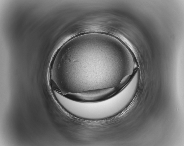 X0000096441293200801241351