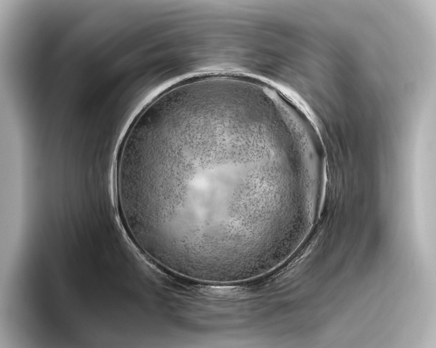 X0000096441295200801241351