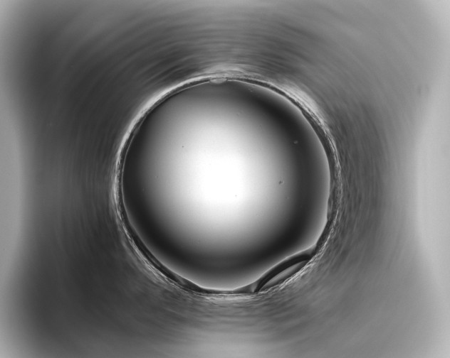 X0000096441296200801241351