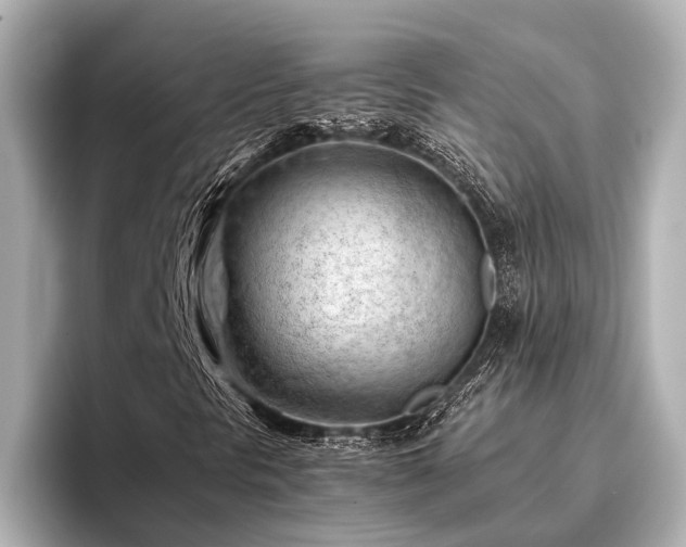 X0000096441297200801241350