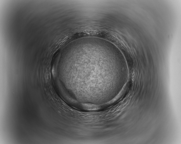 X0000096441298200801241350