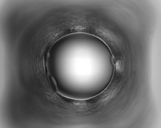 X0000096441299200801241350