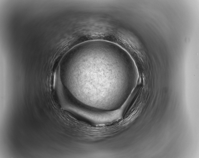 X0000096441300200801241350