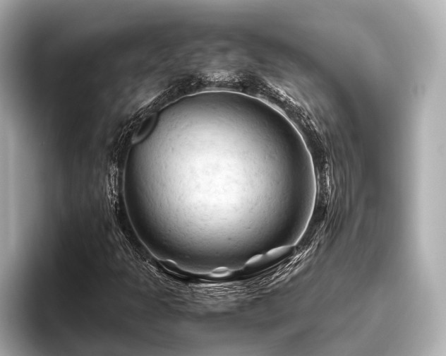 X0000096441301200801241350