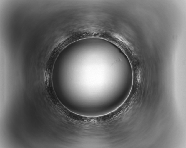 X0000096441302200801241350