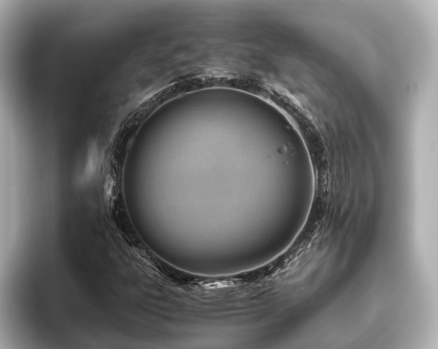 X0000096441303200801241350
