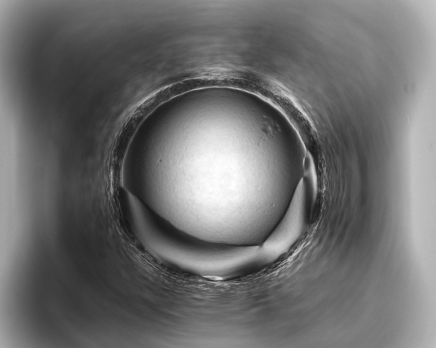 X0000096441304200801241350