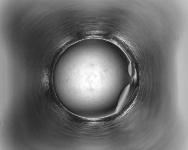 X0000096441305200801241350