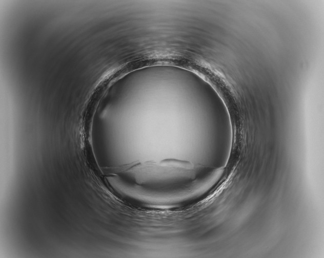 X0000096441306200801241350