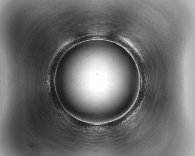 X0000096441307200801241350