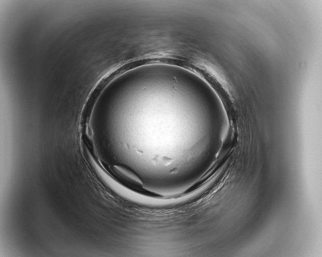 X0000096441308200801241350