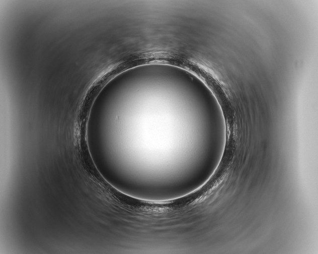 X0000096441309200801241350