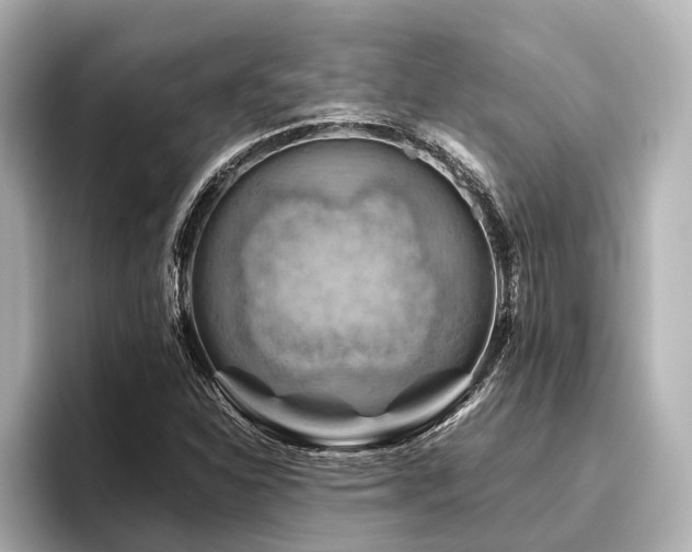 X0000096441310200801241350