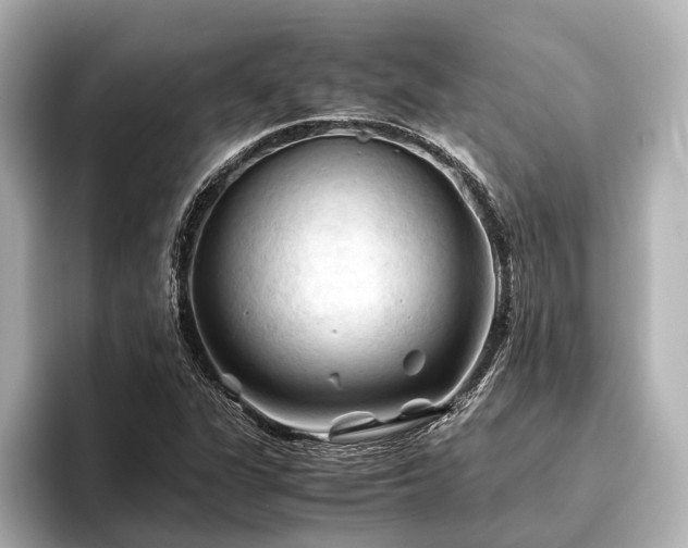 X0000096441311200801241350