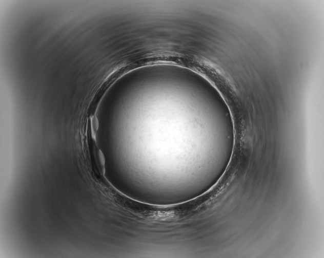 X0000096441313200801241350