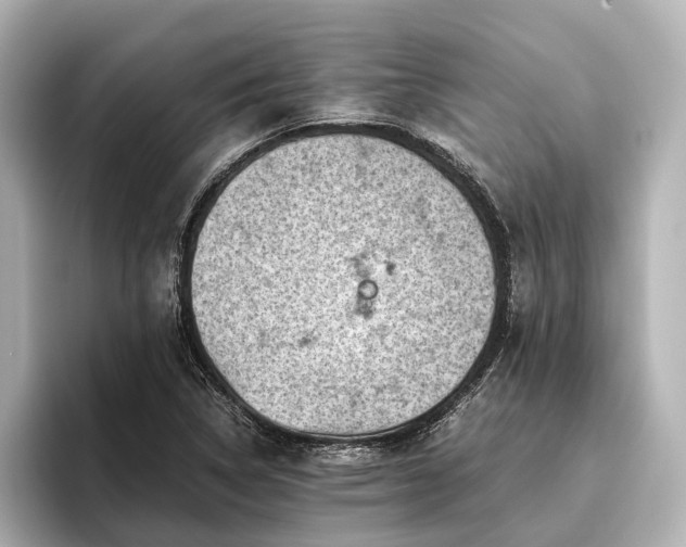 X0000096441314200801241350