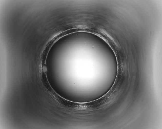 X0000096441315200801241350