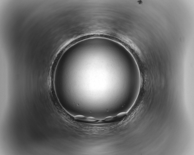 X0000096441316200801241350