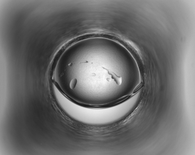 X0000096441318200801241351