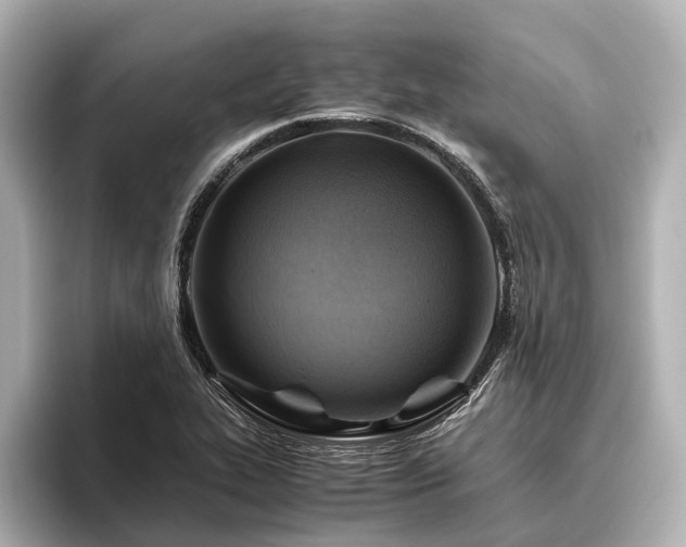 X0000096441319200801241351