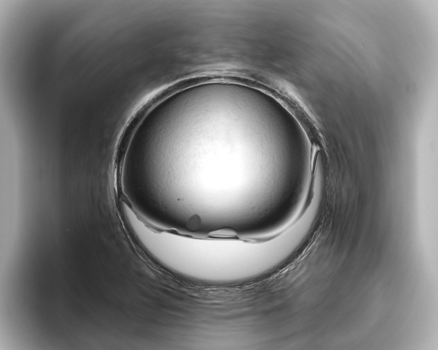 X0000096441320200801241351