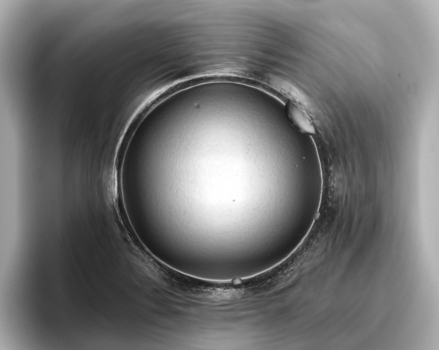 X0000096441324200801241351