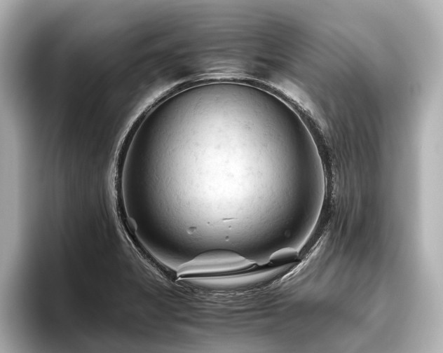 X0000096441325200801241351