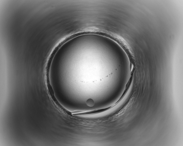 X0000096441326200801241351