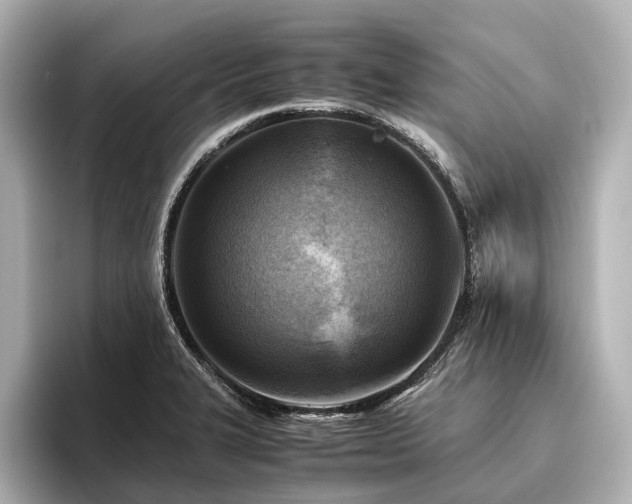 X0000096441327200801241351