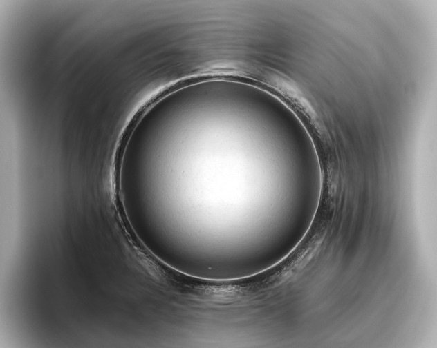 X0000096441328200801241351