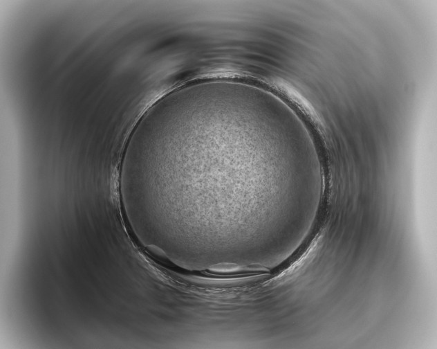 X0000096441329200801241351