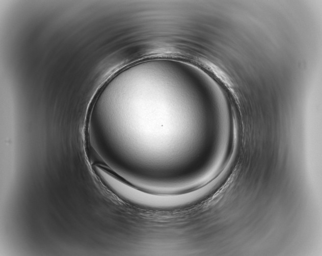 X0000096441330200801241351