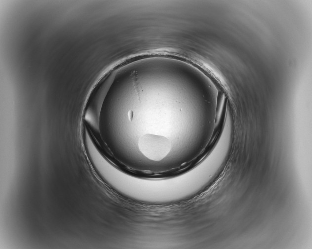 X0000096441332200801241351