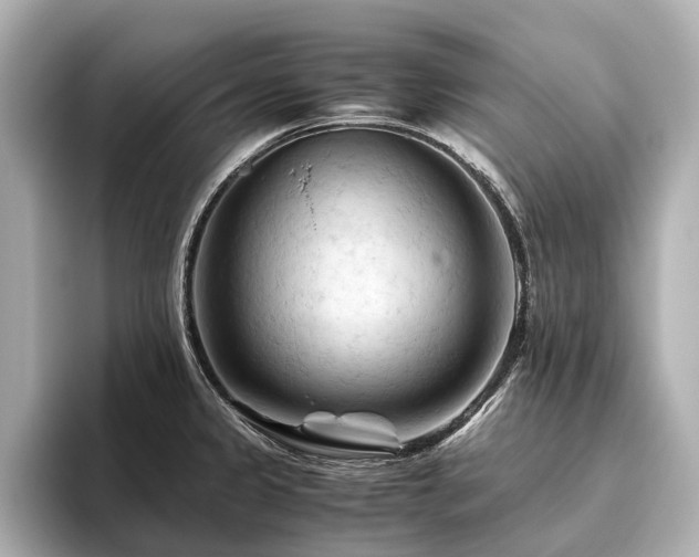 X0000096441333200801241351